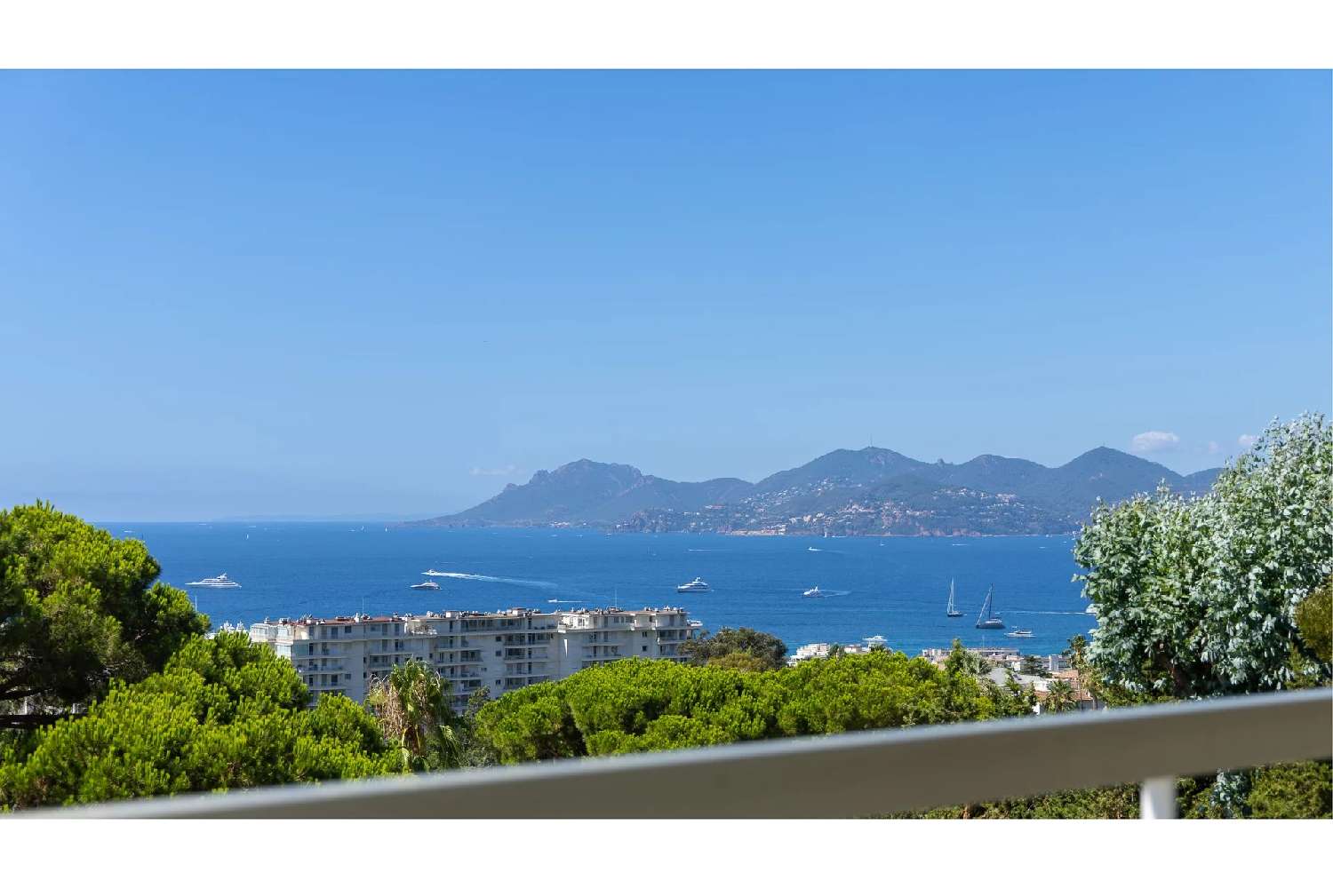  kaufen Wohnung/ Apartment Cannes Alpes-Maritimes 4