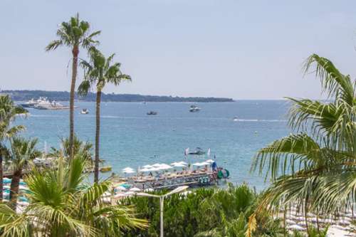 Cannes Alpes-Maritimes Wohnung/ Apartment Bild 7308183