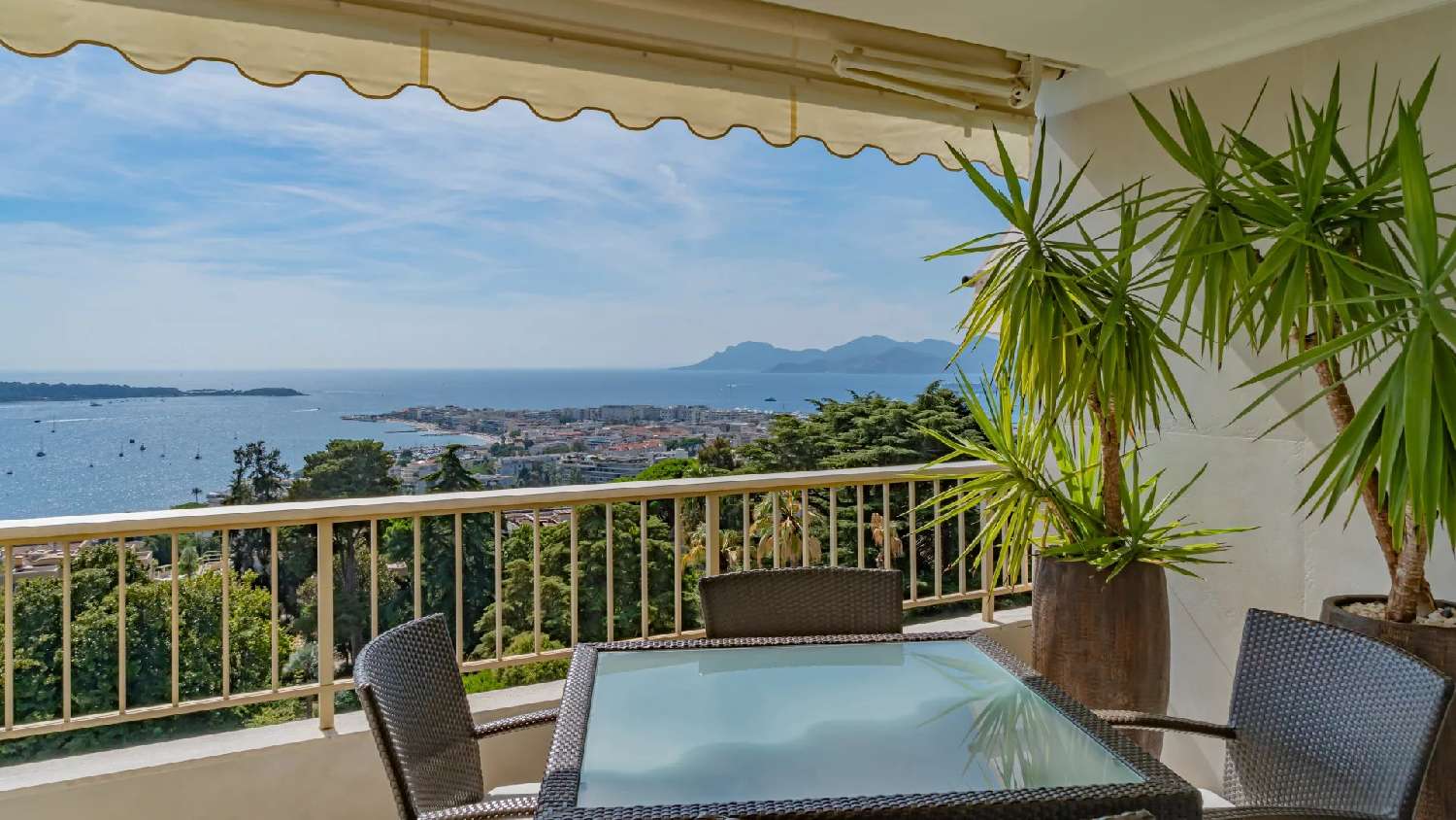  for sale apartment Cannes Alpes-Maritimes 4