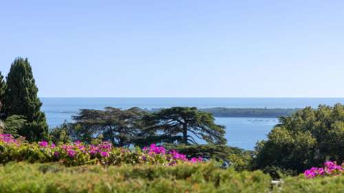 Cannes Alpes-Maritimes appartement foto 7308544