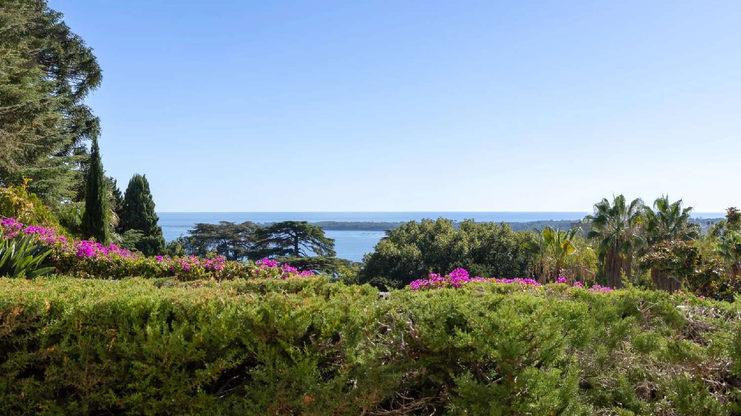 à vendre appartement Cannes Alpes-Maritimes 4