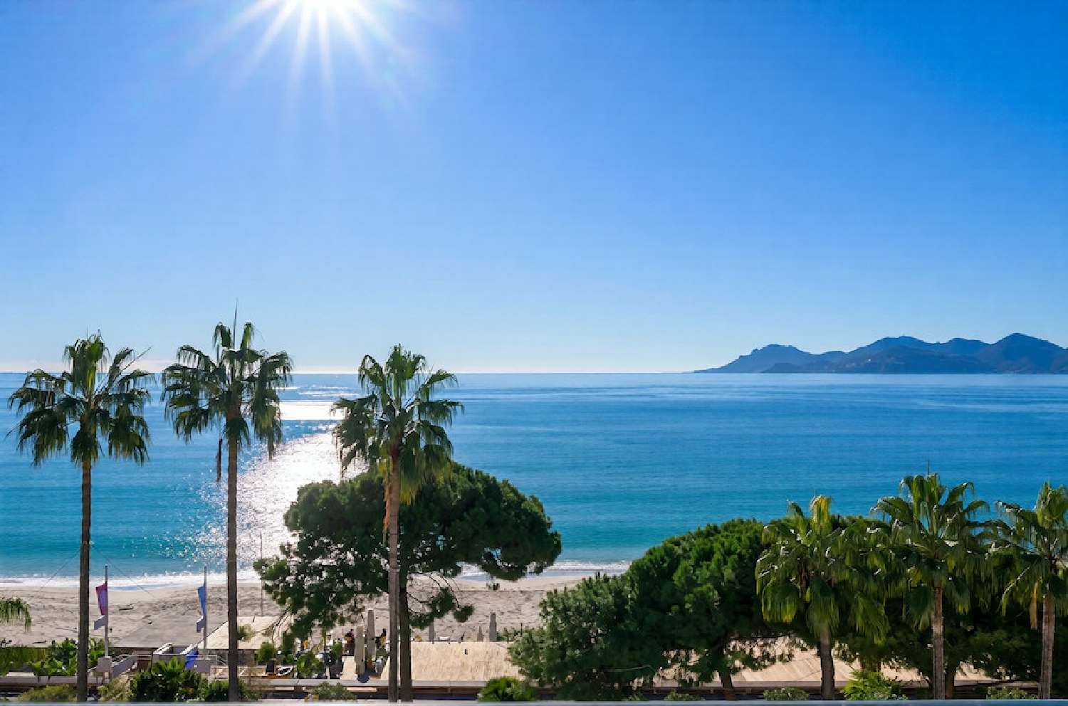  à vendre appartement Cannes Alpes-Maritimes 1