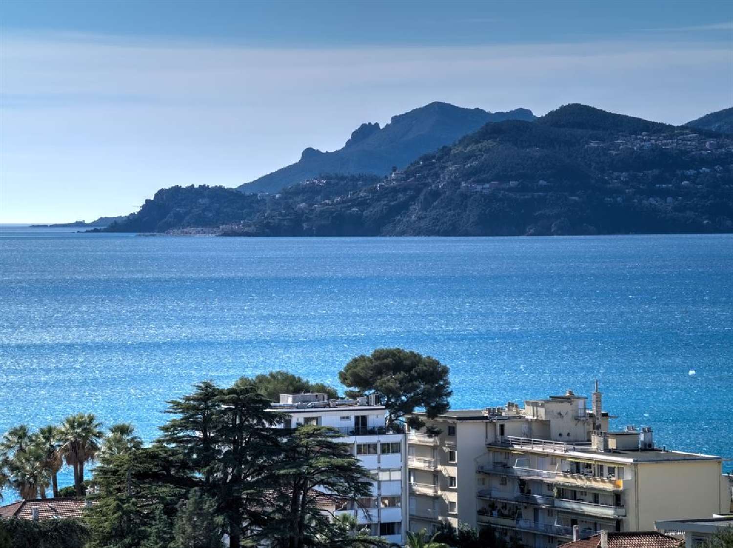 te koop appartement Cannes Alpes-Maritimes 4
