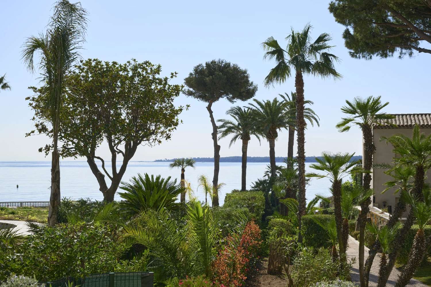  for sale apartment Cannes Alpes-Maritimes 2