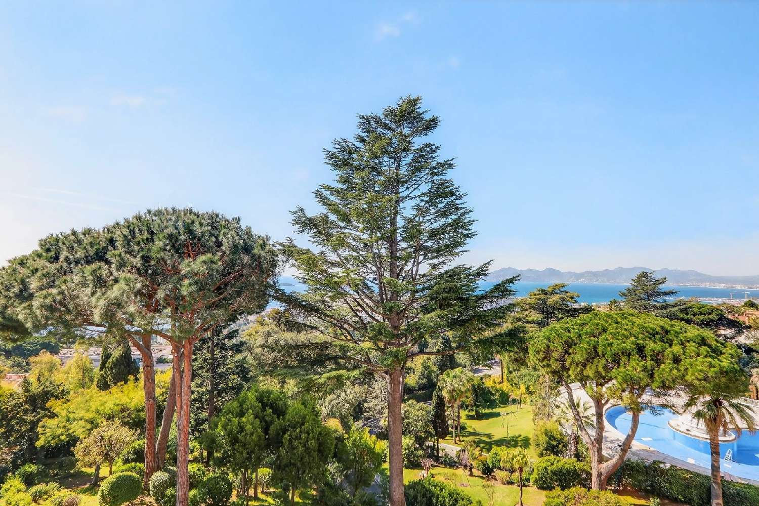  for sale apartment Cannes Alpes-Maritimes 5