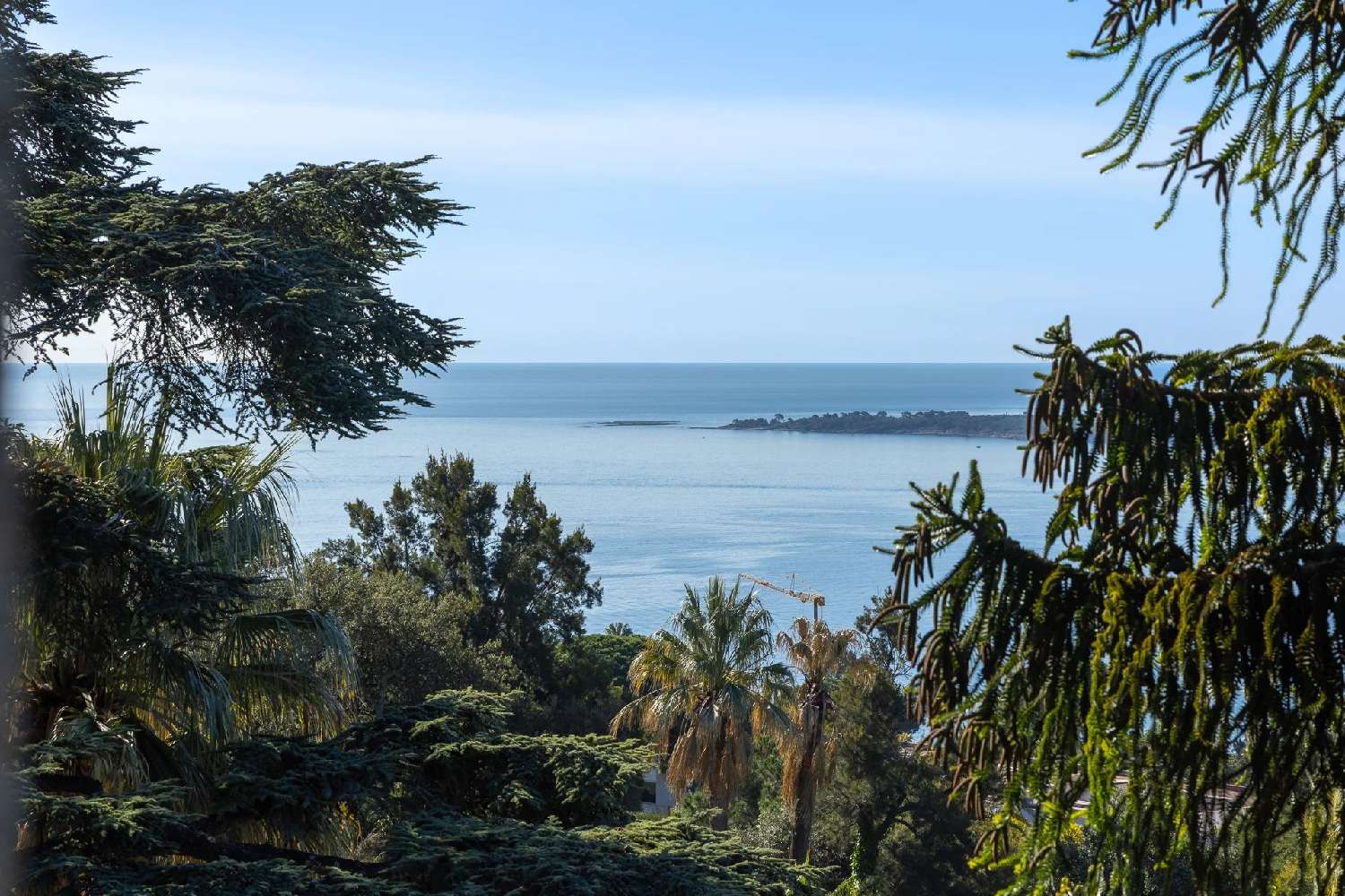  te koop appartement Cannes Alpes-Maritimes 3