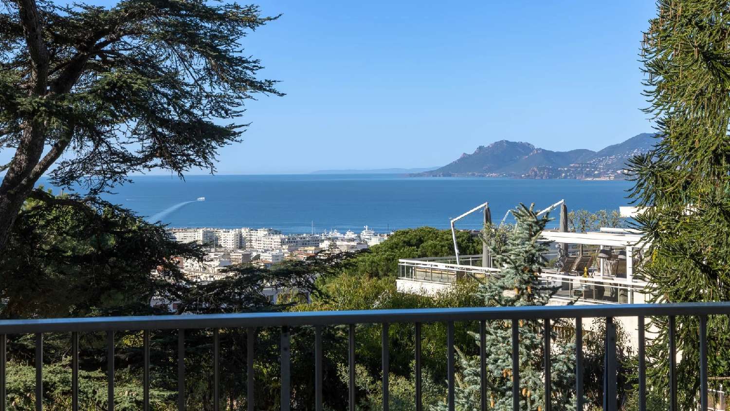 te koop appartement Cannes Alpes-Maritimes 4