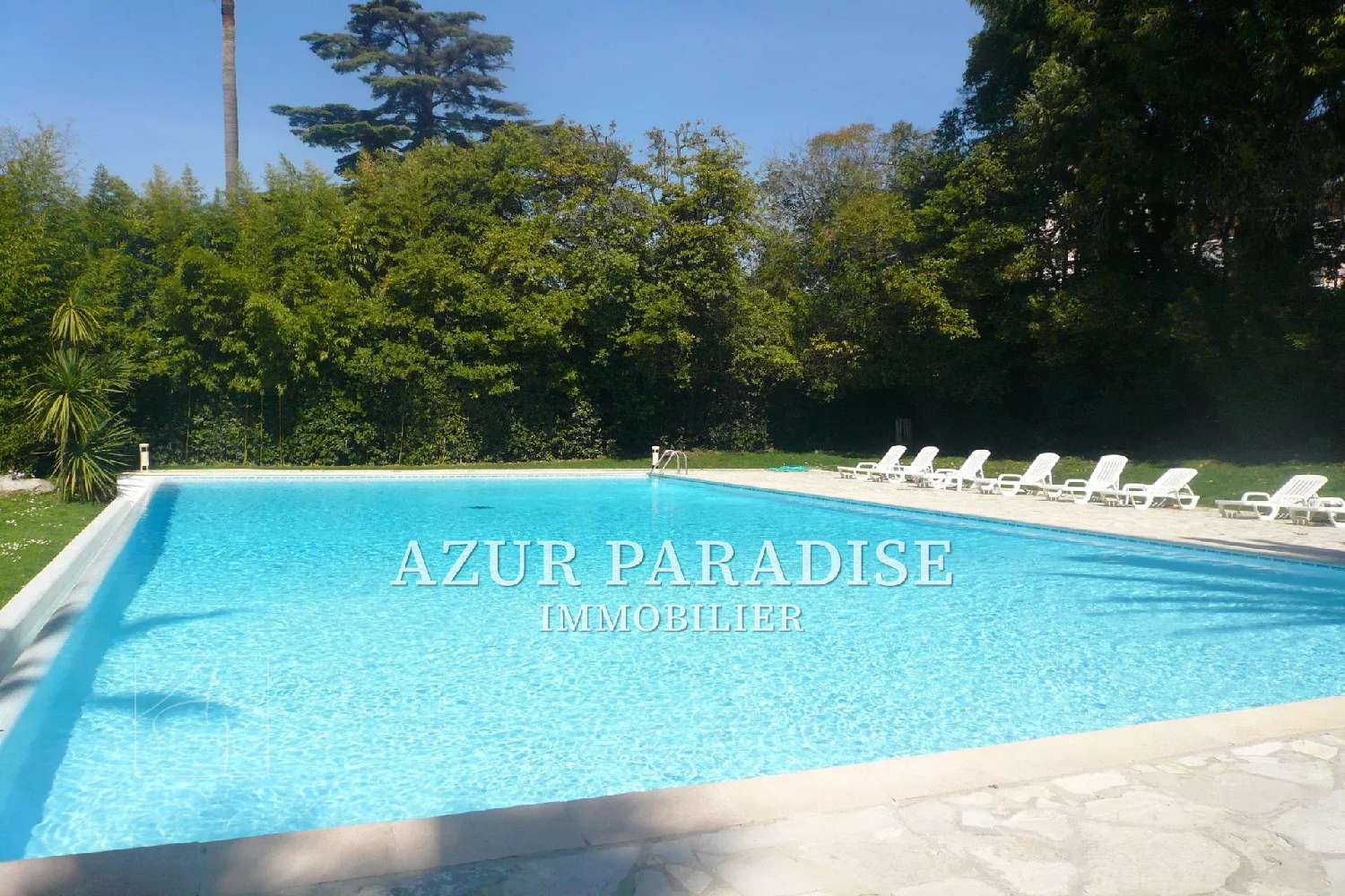  kaufen Wohnung/ Apartment Cannes Alpes-Maritimes 1