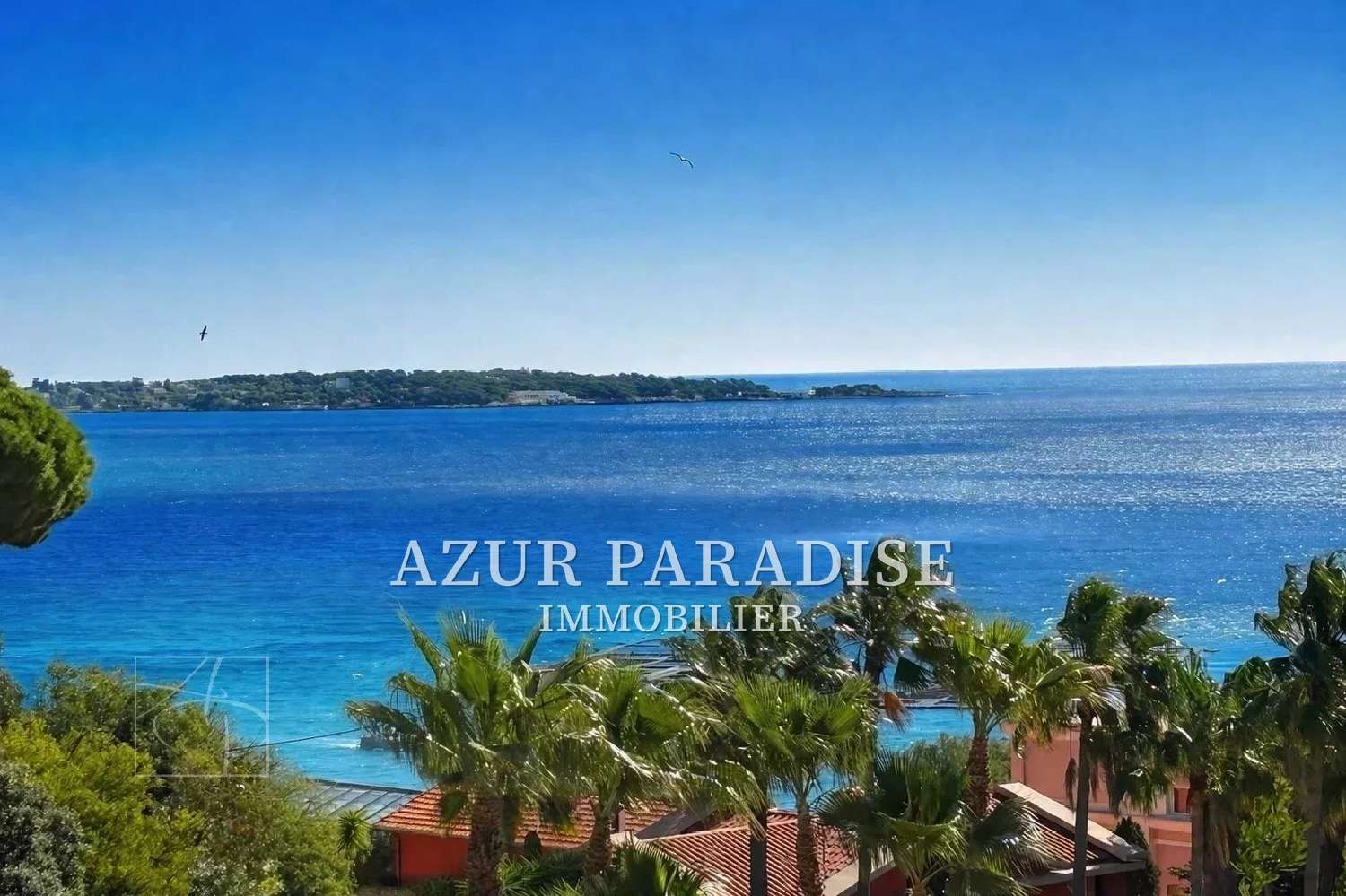  te koop appartement Cannes Alpes-Maritimes 1