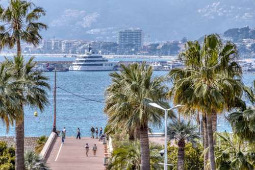 Cannes Alpes-Maritimes Wohnung/ Apartment Bild 7319097