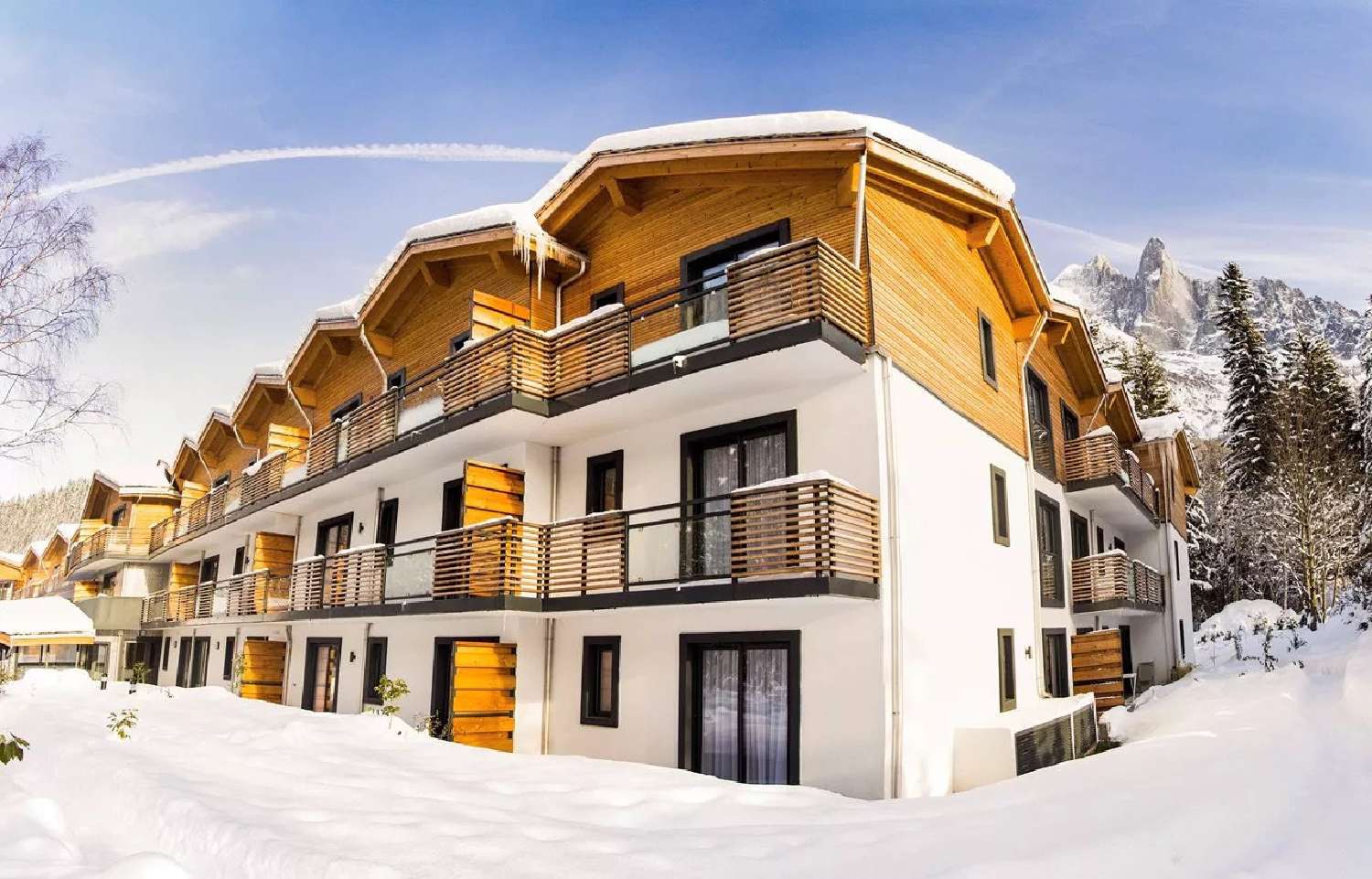  te koop appartement Chamonix-Mont-Blanc Haute-Savoie 6