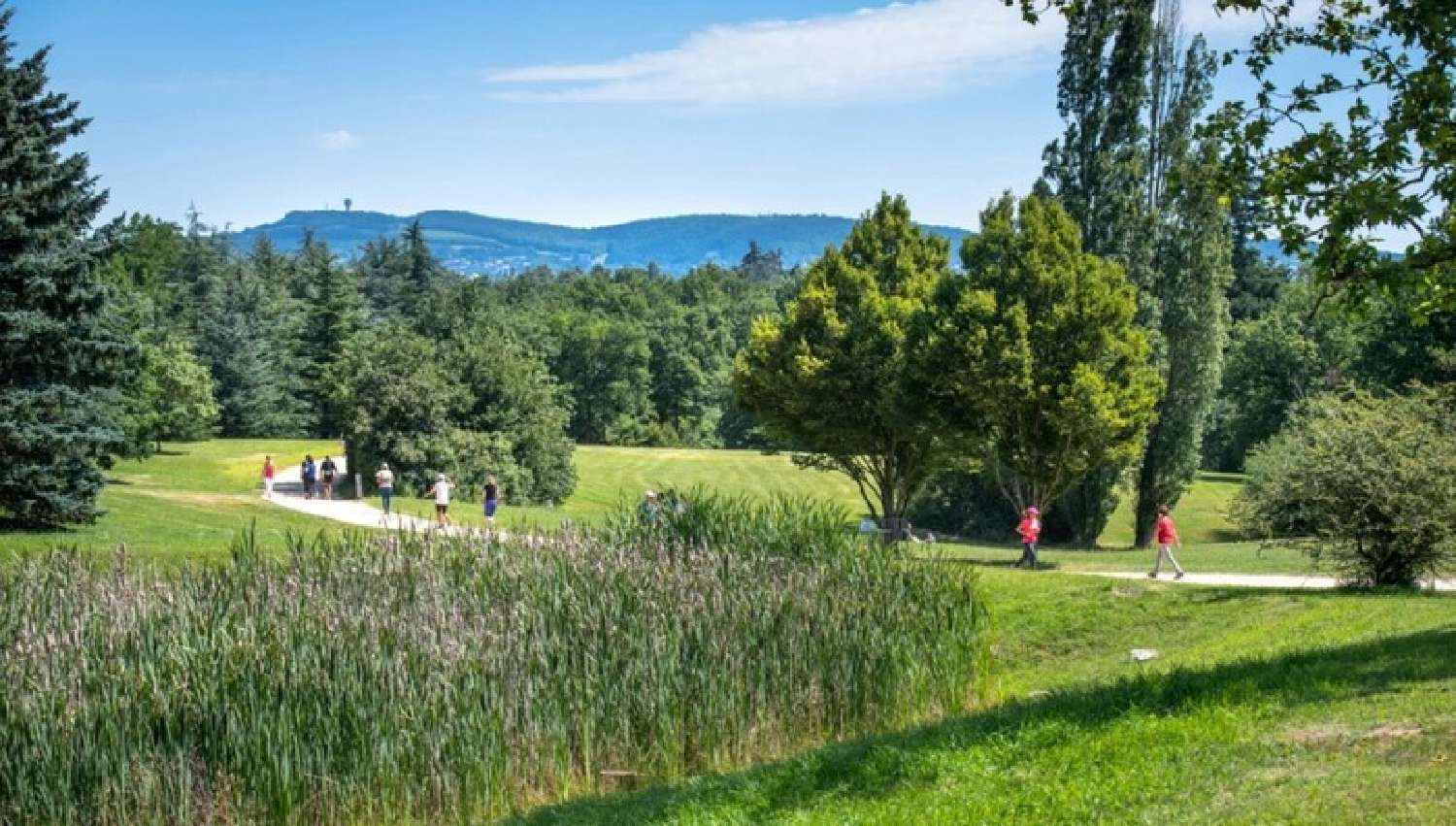  te koop appartement Charbonnières-les-Bains Rhône 6