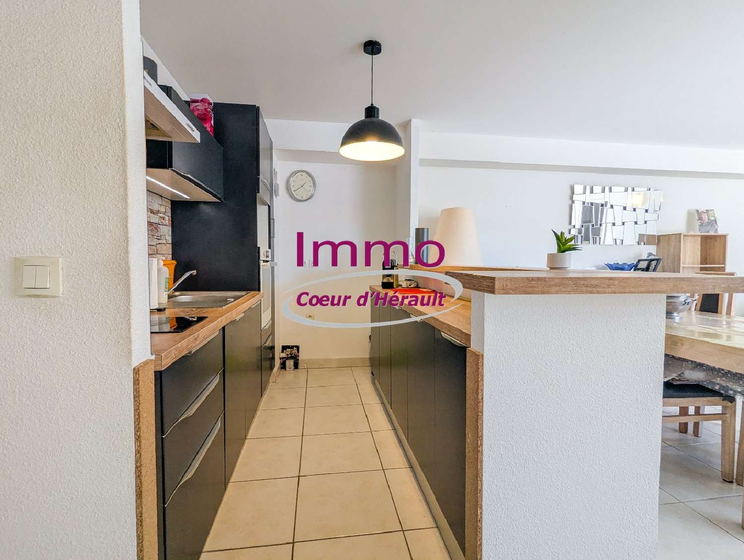  te koop appartement Clermont-l'Hérault Hérault 4