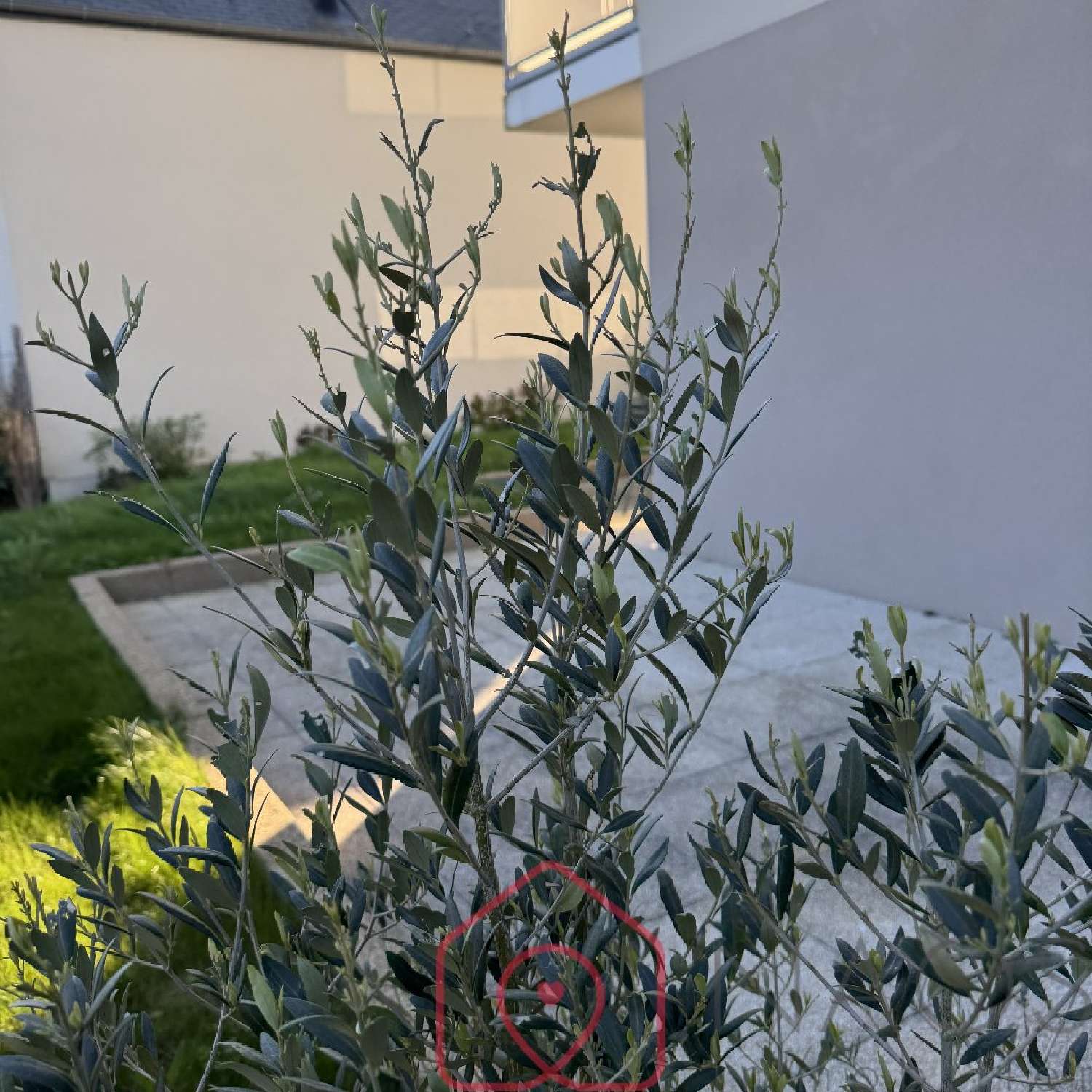 for sale apartment Dinard Ille-et-Vilaine 8