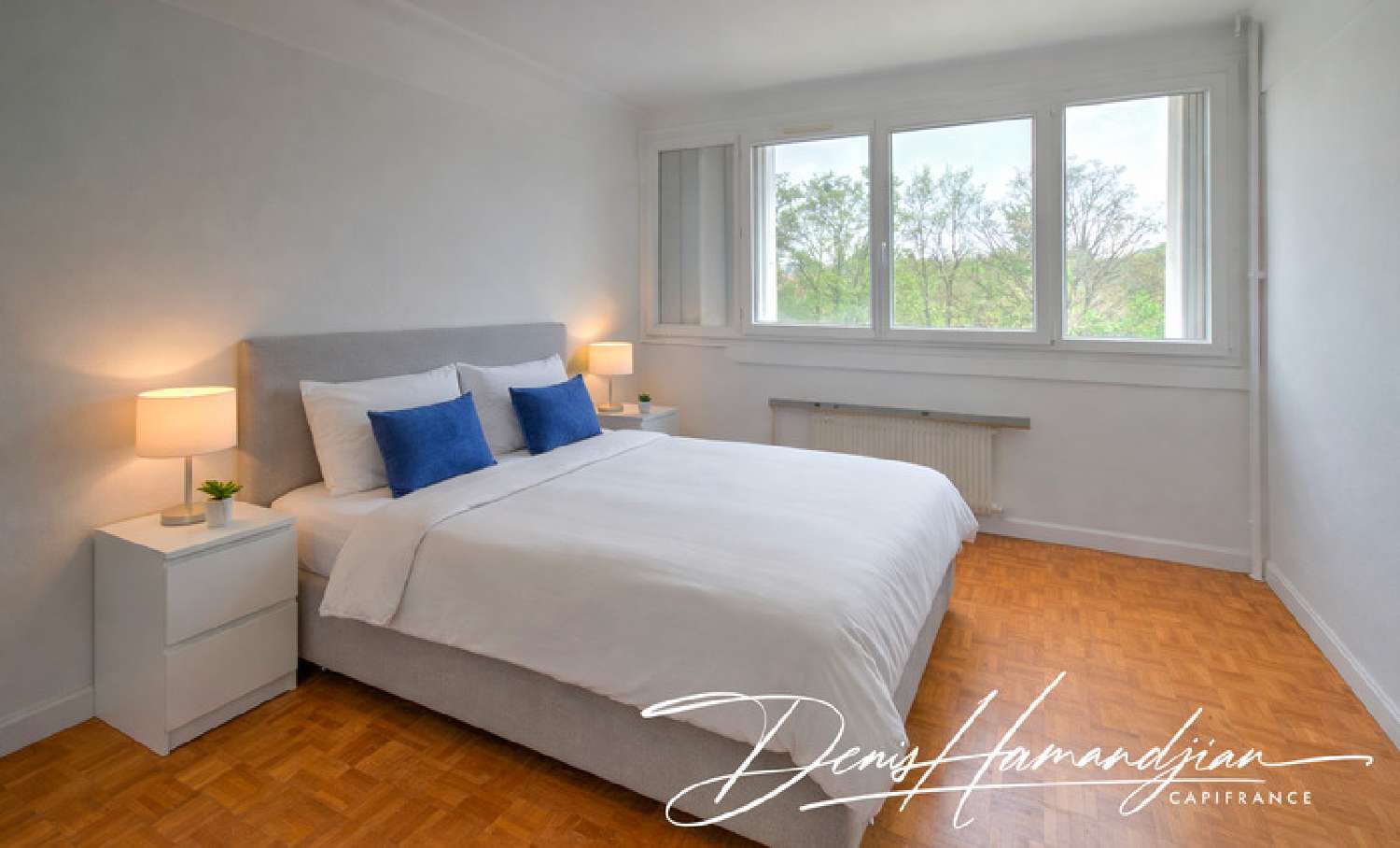  te koop appartement Fontaines-sur-Saône Rhône 4