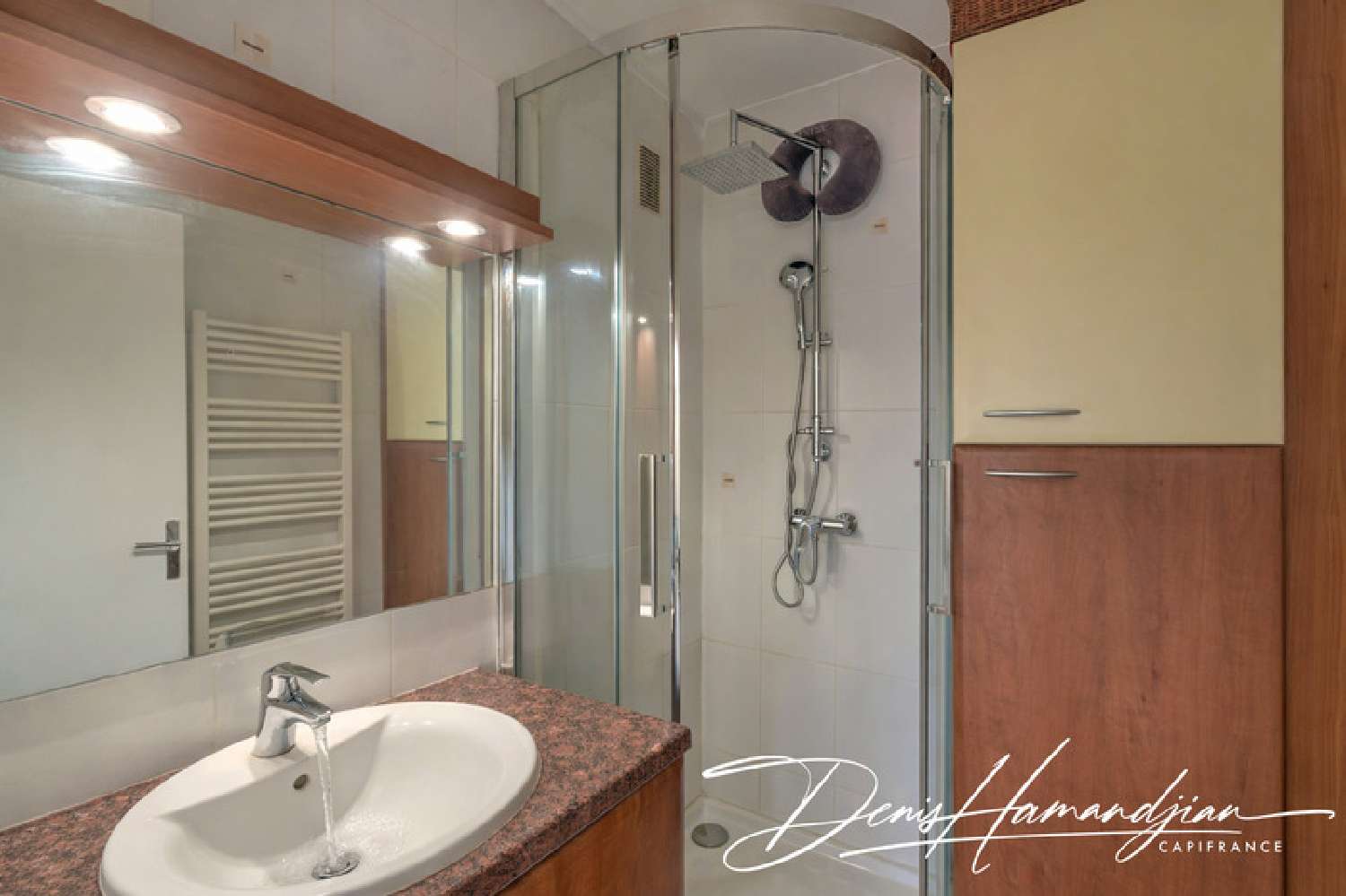  te koop appartement Fontaines-sur-Saône Rhône 6