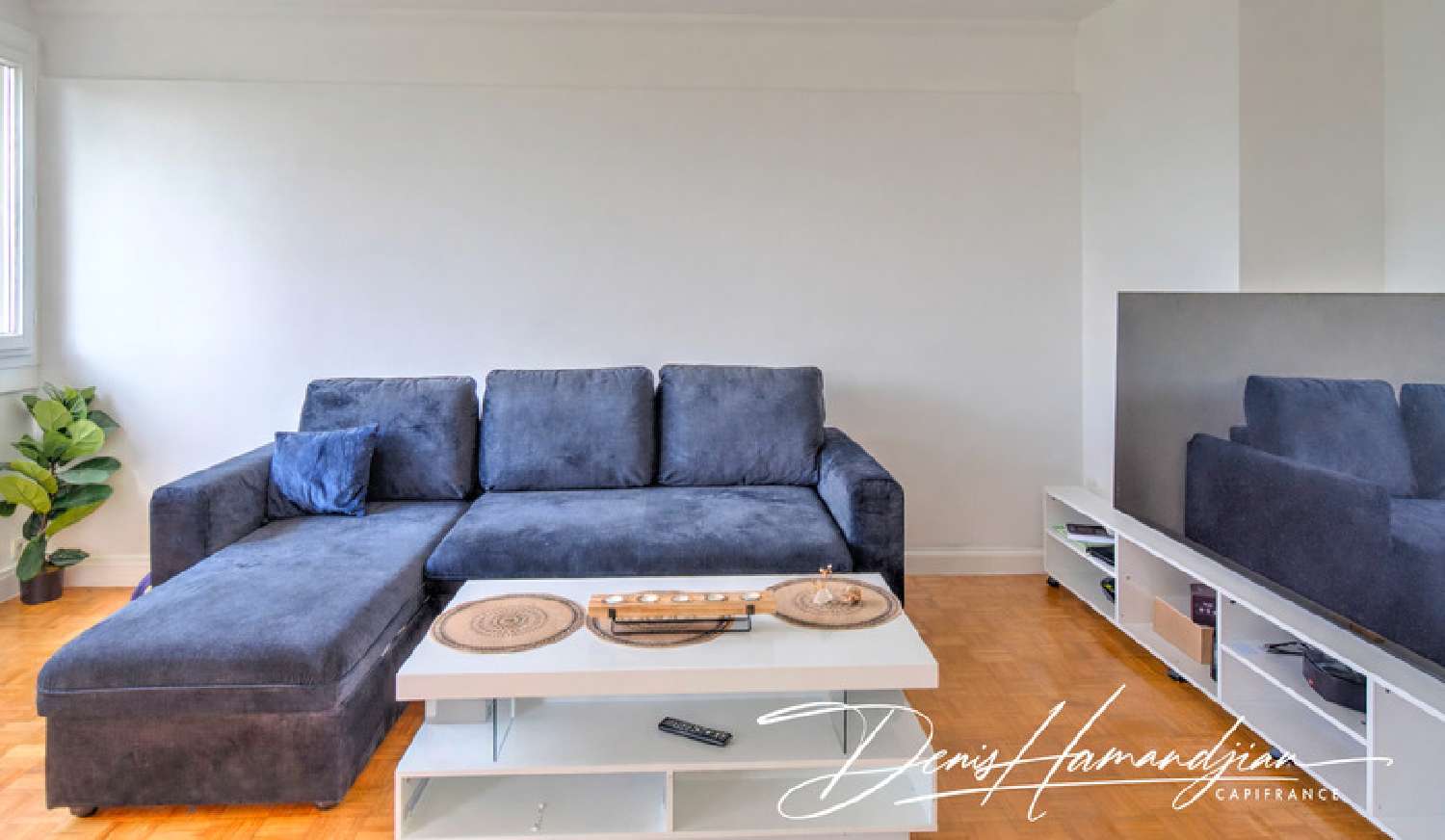  te koop appartement Fontaines-sur-Saône Rhône 7