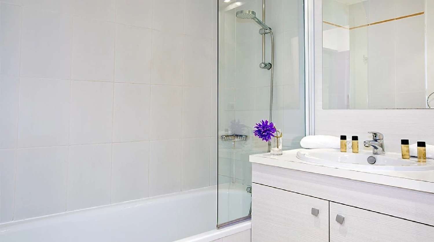  te koop appartement Gex Ain 5