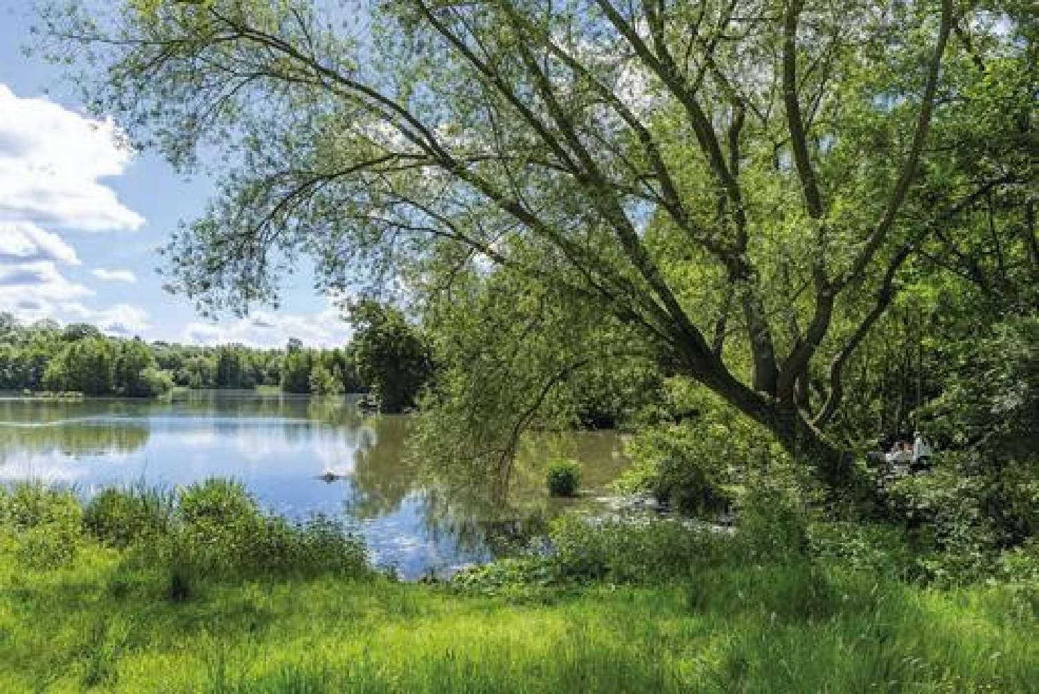  for sale apartment Gouvernes Seine-et-Marne 3