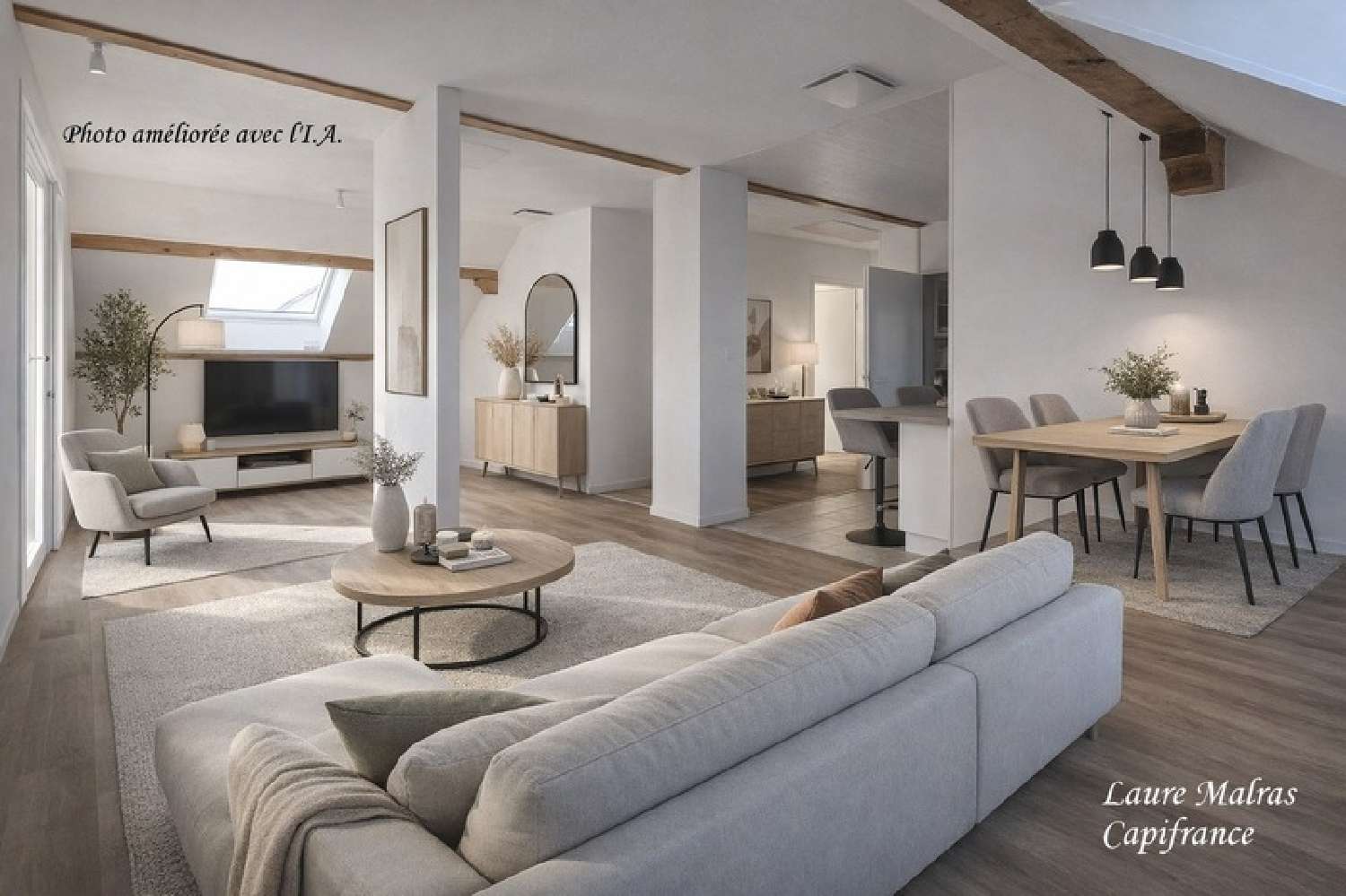  à vendre appartement La Balme-de-Sillingy Haute-Savoie 1