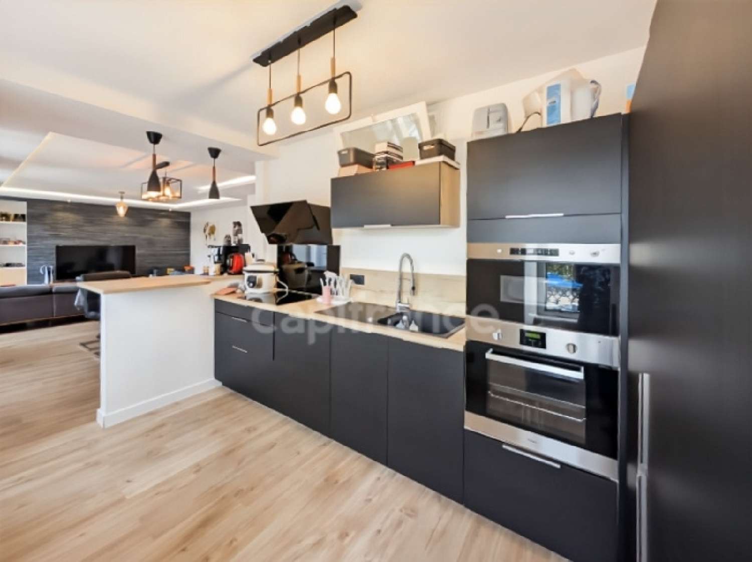  te koop appartement Lannilis Finistère 3
