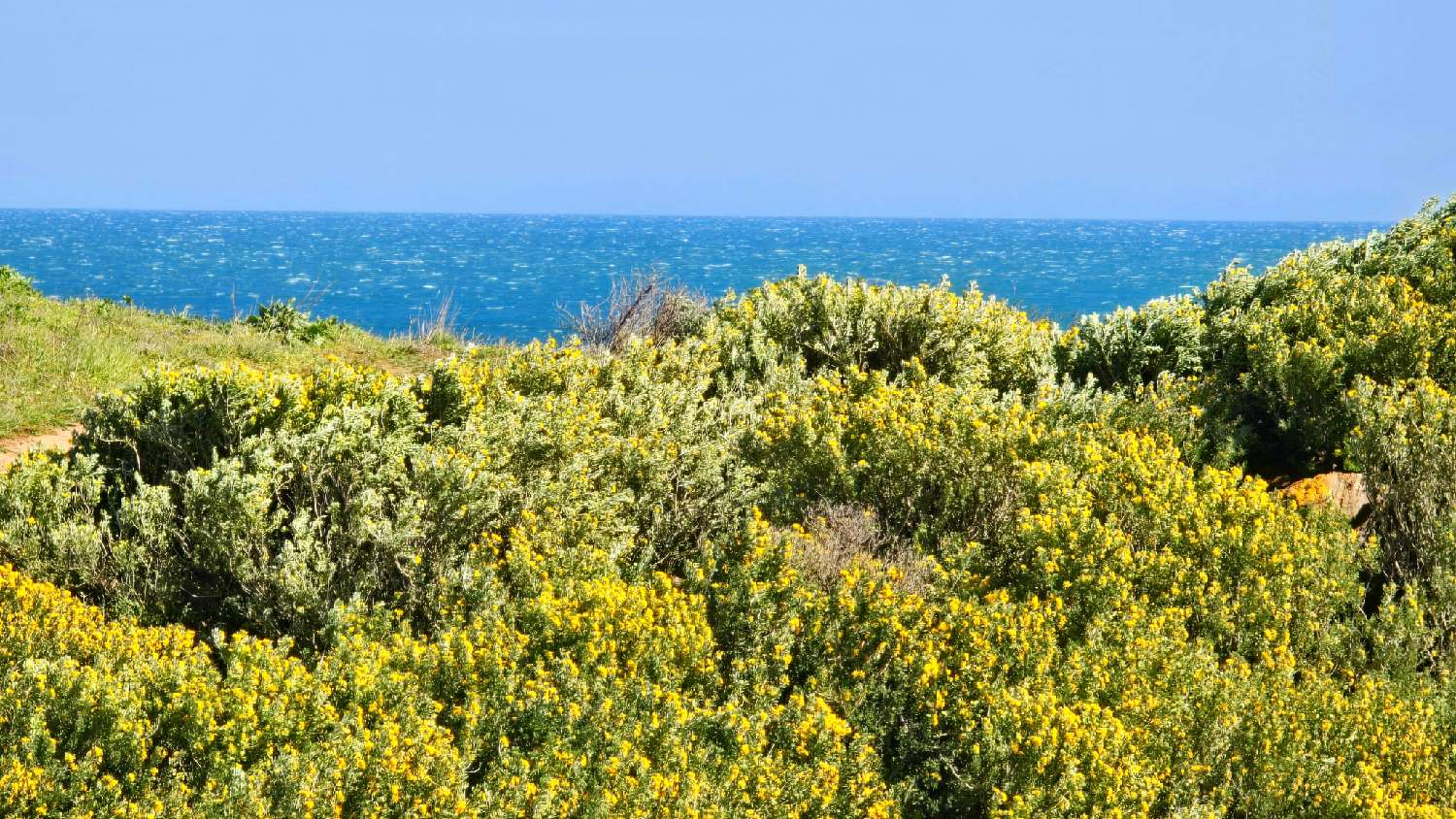  kaufen Wohnung/ Apartment Le Cap d'Agde Hérault 4