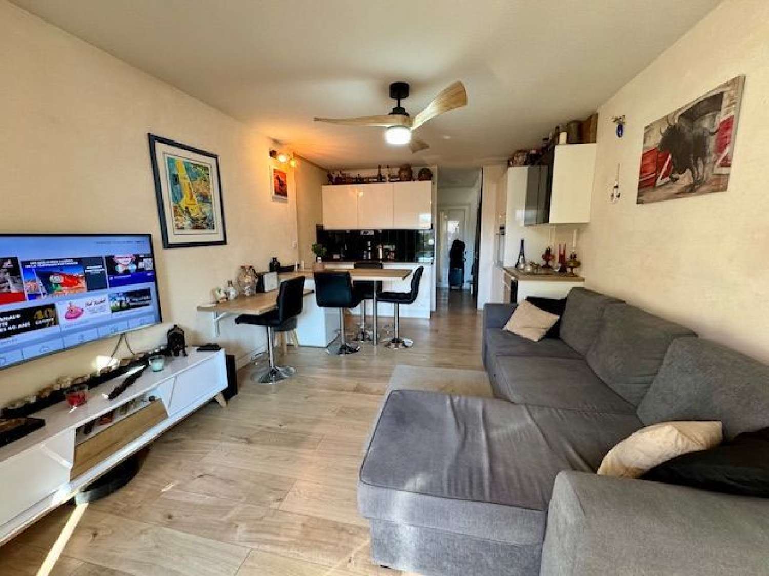  à vendre appartement Le Grau-du-Roi Gard 1