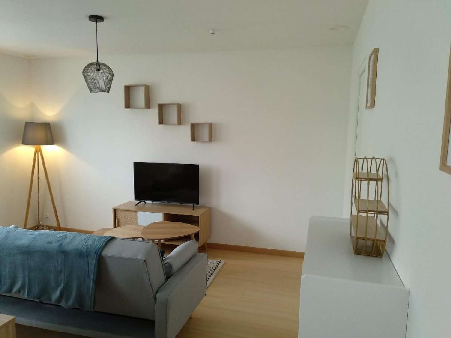  te koop appartement Le Mans Sarthe 1