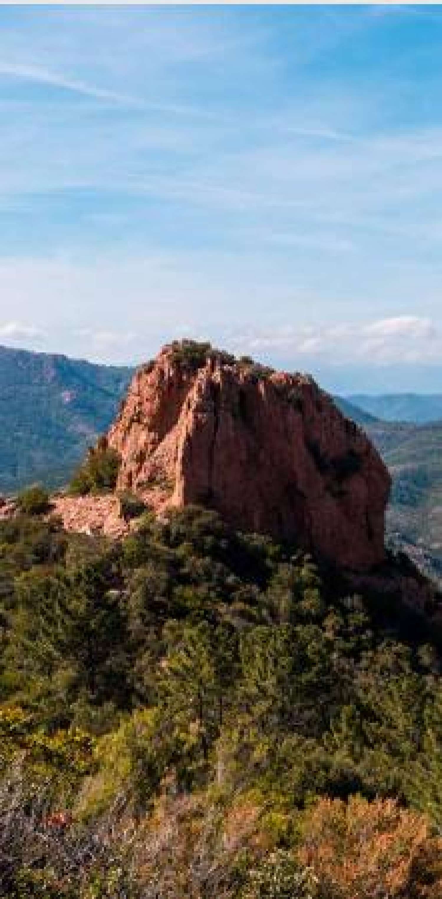  kaufen Wohnung/ Apartment Le Muy Var 2