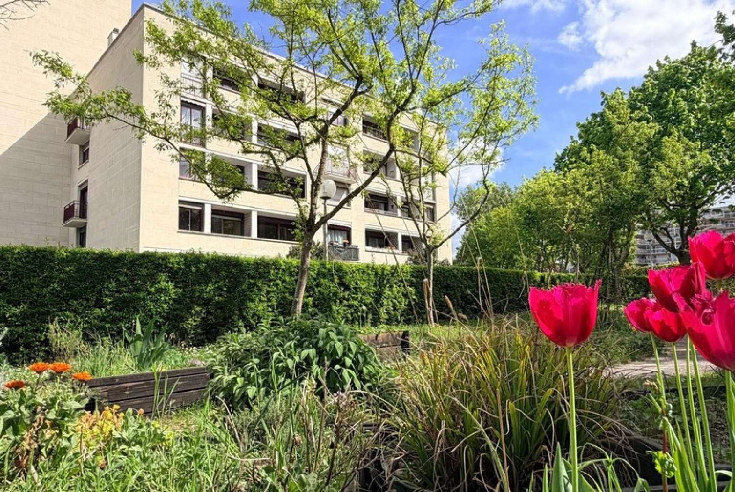  te koop appartement Le Pecq Yvelines 1