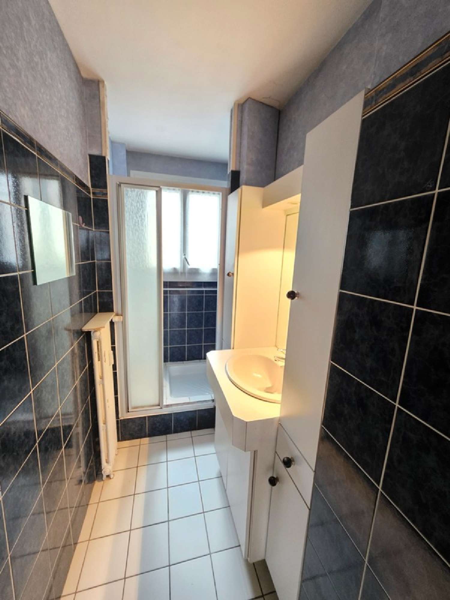  te koop appartement Limoges 87100 Haute-Vienne 5