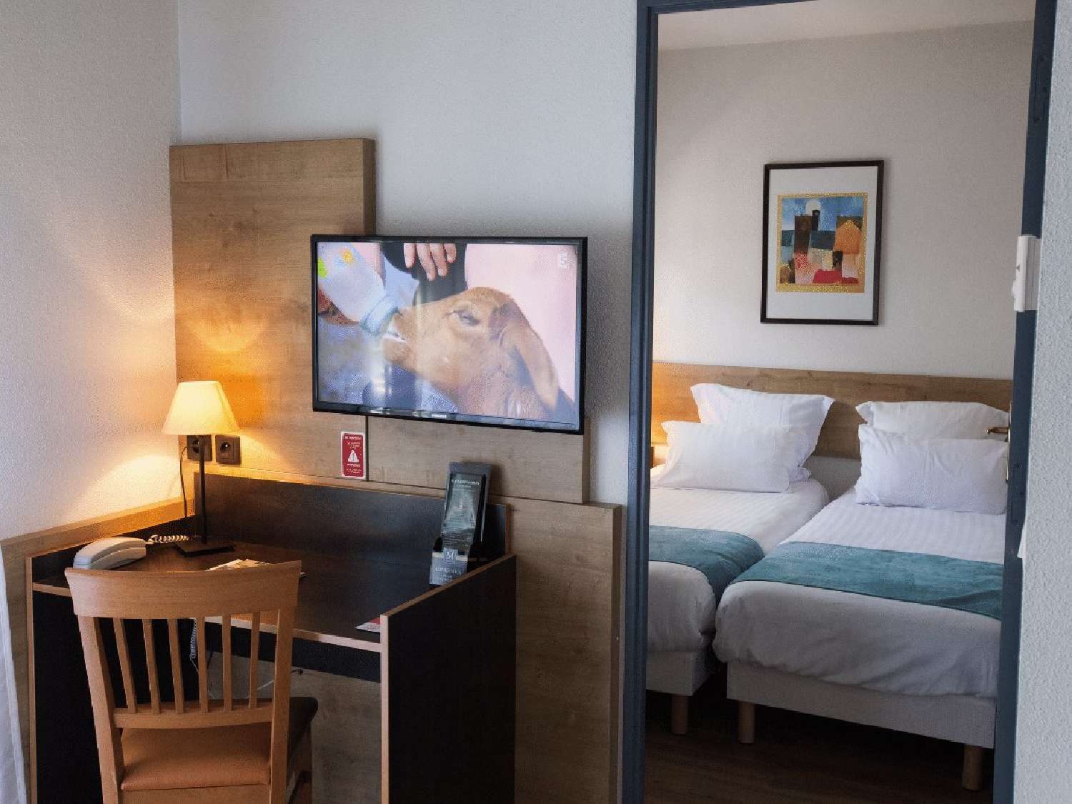  te koop appartement Lyon 8e Arrondissement Rhône 8