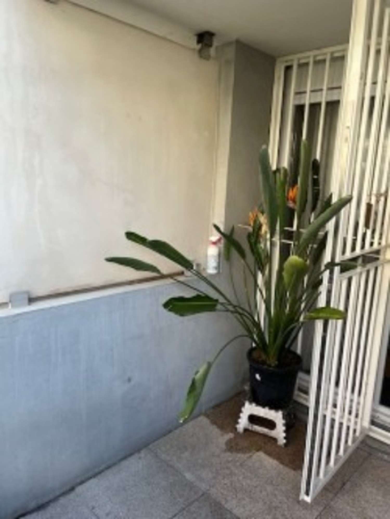  te koop appartement Marseille 14e Arrondissement Bouches-du-Rhône 2
