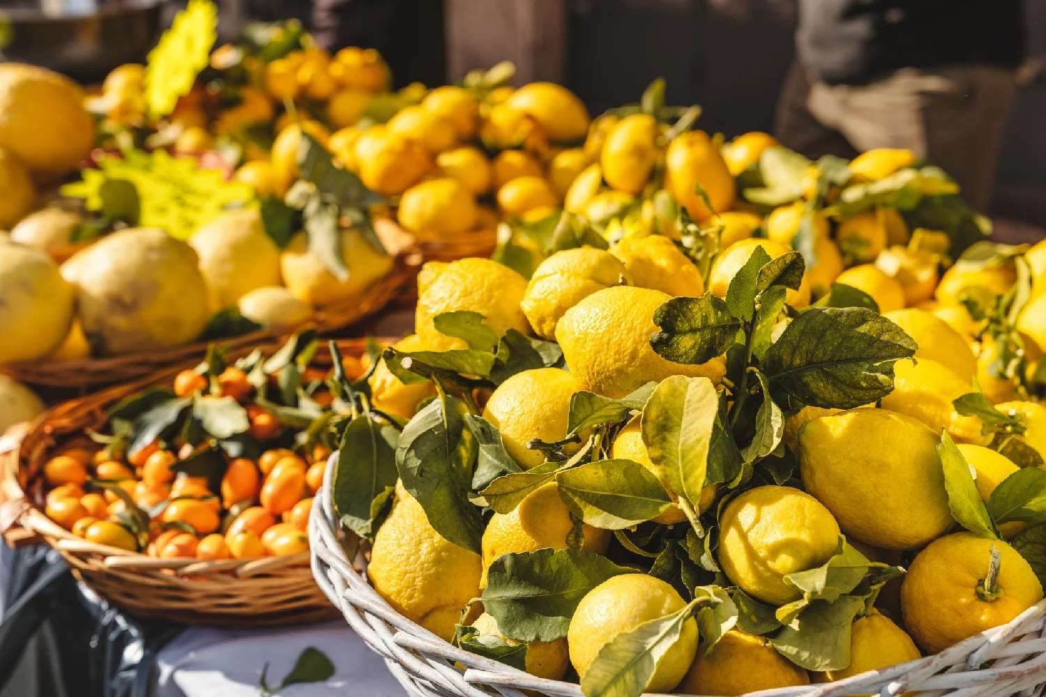  for sale apartment Menton Alpes-Maritimes 6