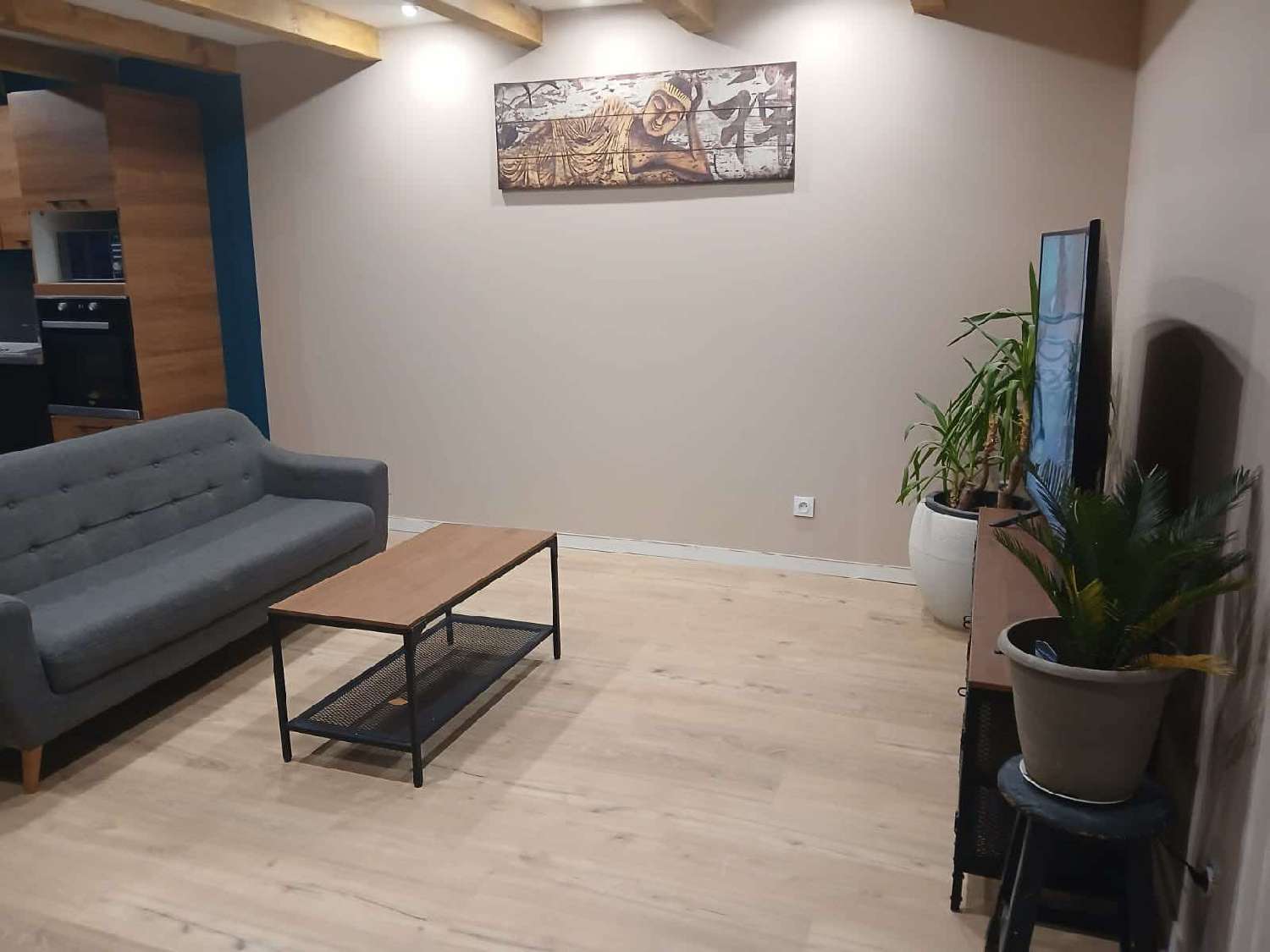  te koop appartement Mézériat Ain 1