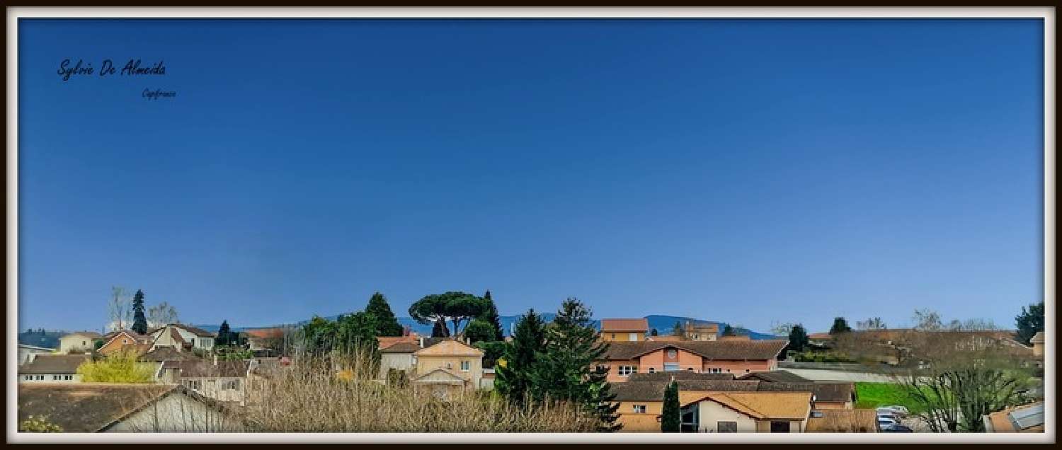  kaufen Wohnung/ Apartment Mionnay Ain 3