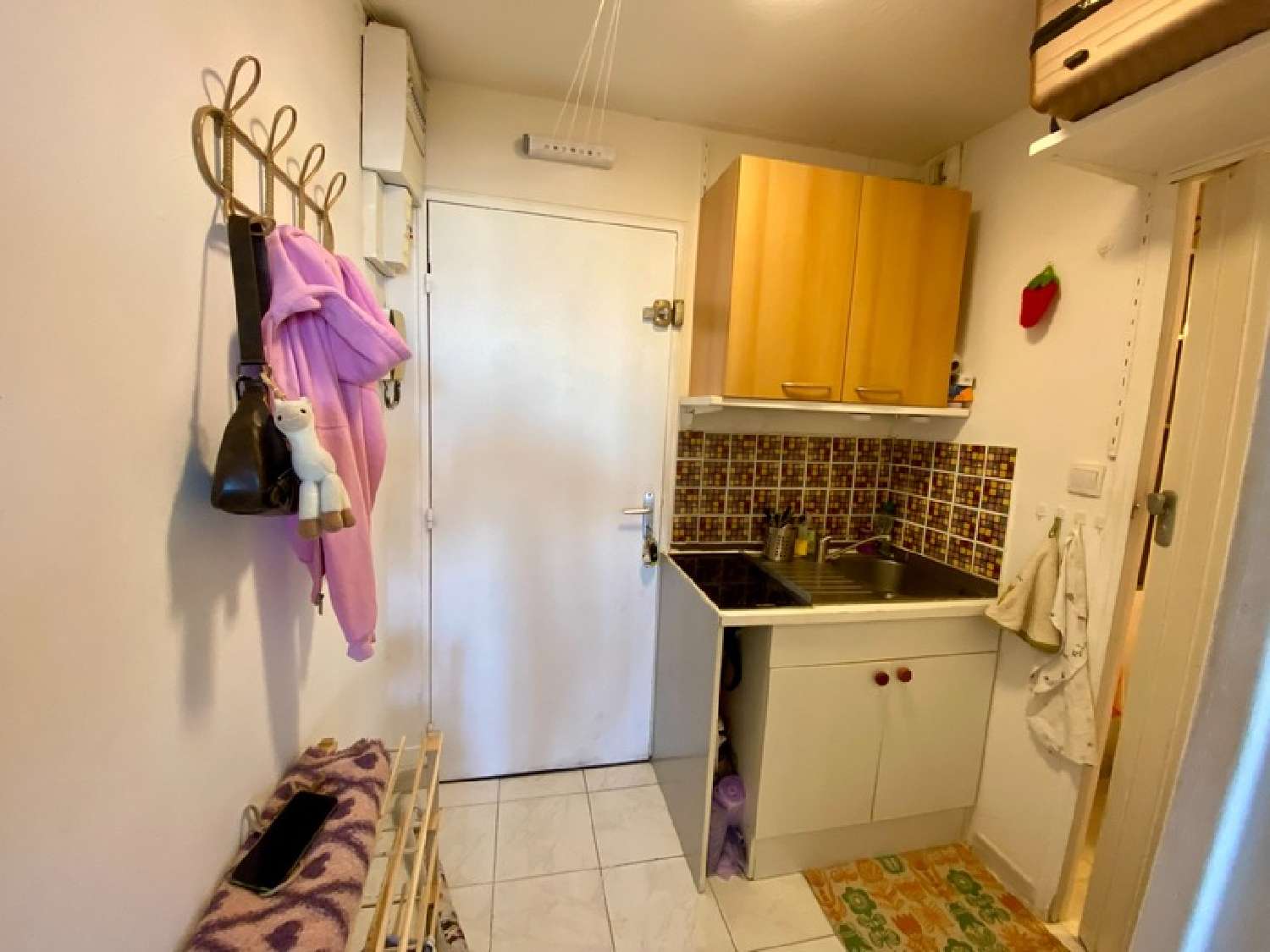  te koop appartement Montpellier 34070 Hérault 7