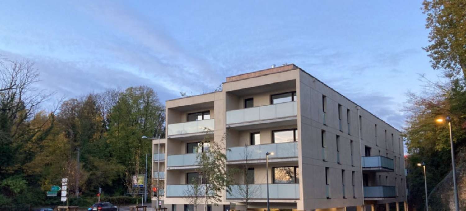  à vendre appartement Nancy Meurthe-et-Moselle 7