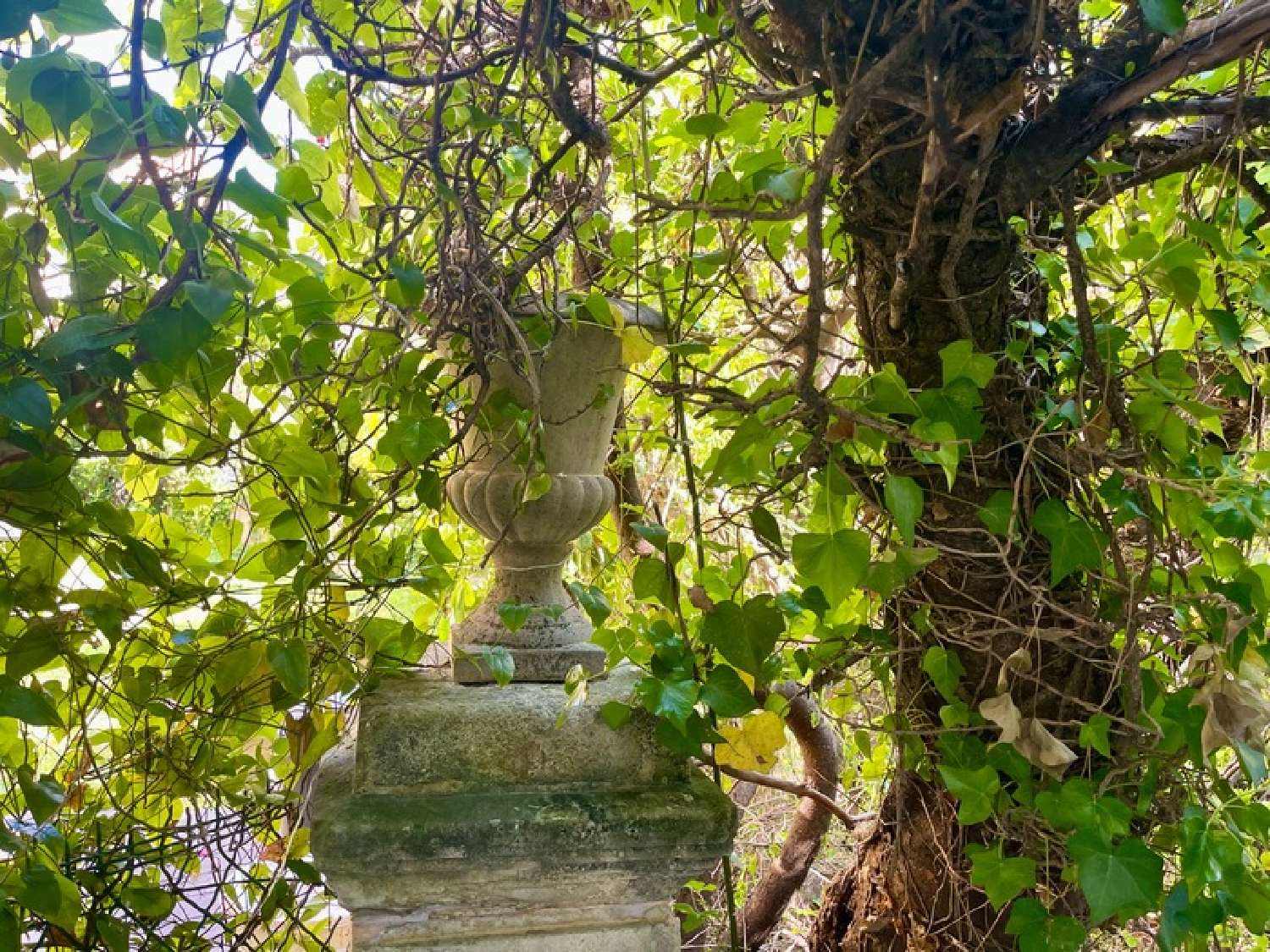  kaufen Wohnung/ Apartment Nice 06300 Alpes-Maritimes 5