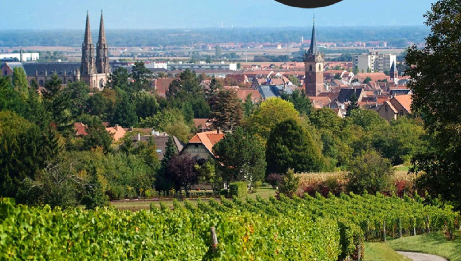 for sale apartment Obernai Bas-Rhin 1