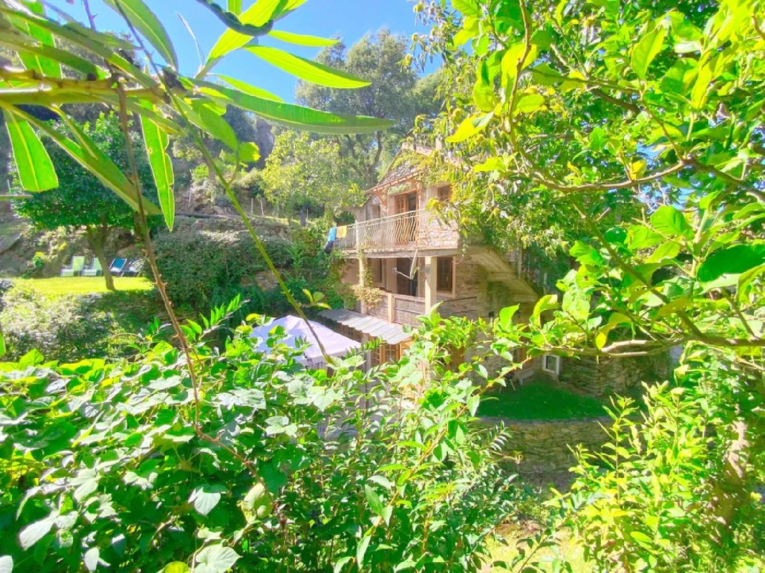  te koop appartement Oletta Haute-Corse 1