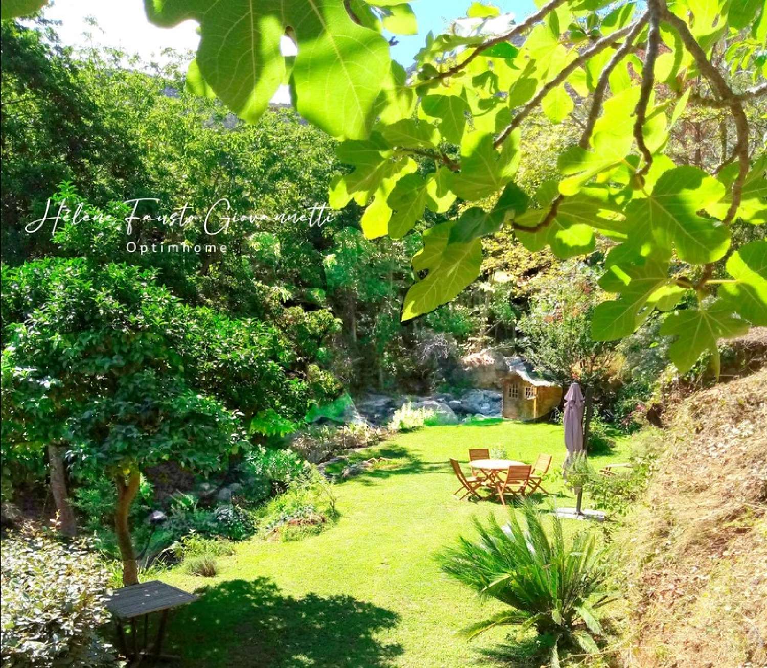  te koop appartement Oletta Haute-Corse 4