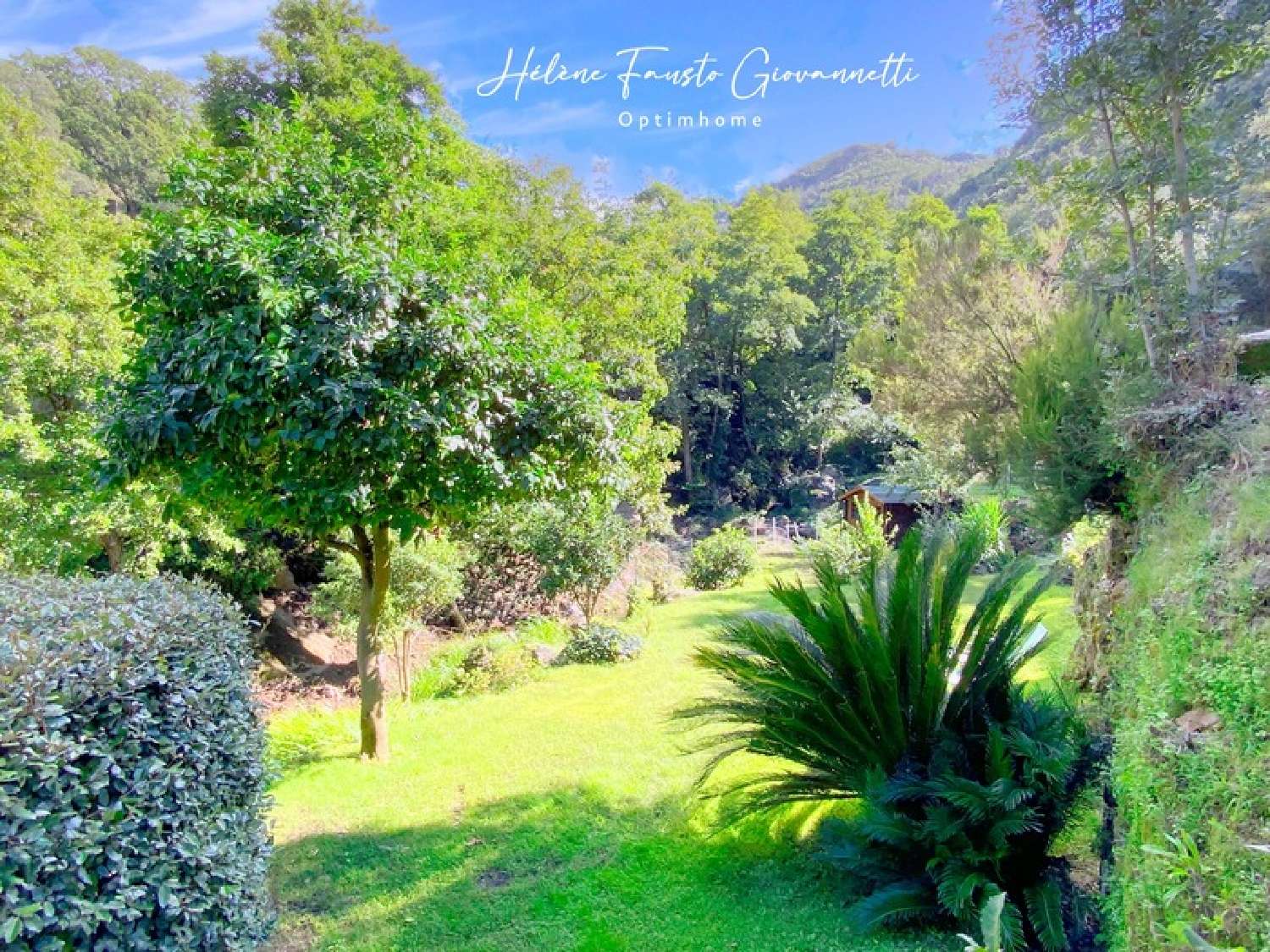  te koop appartement Oletta Haute-Corse 7