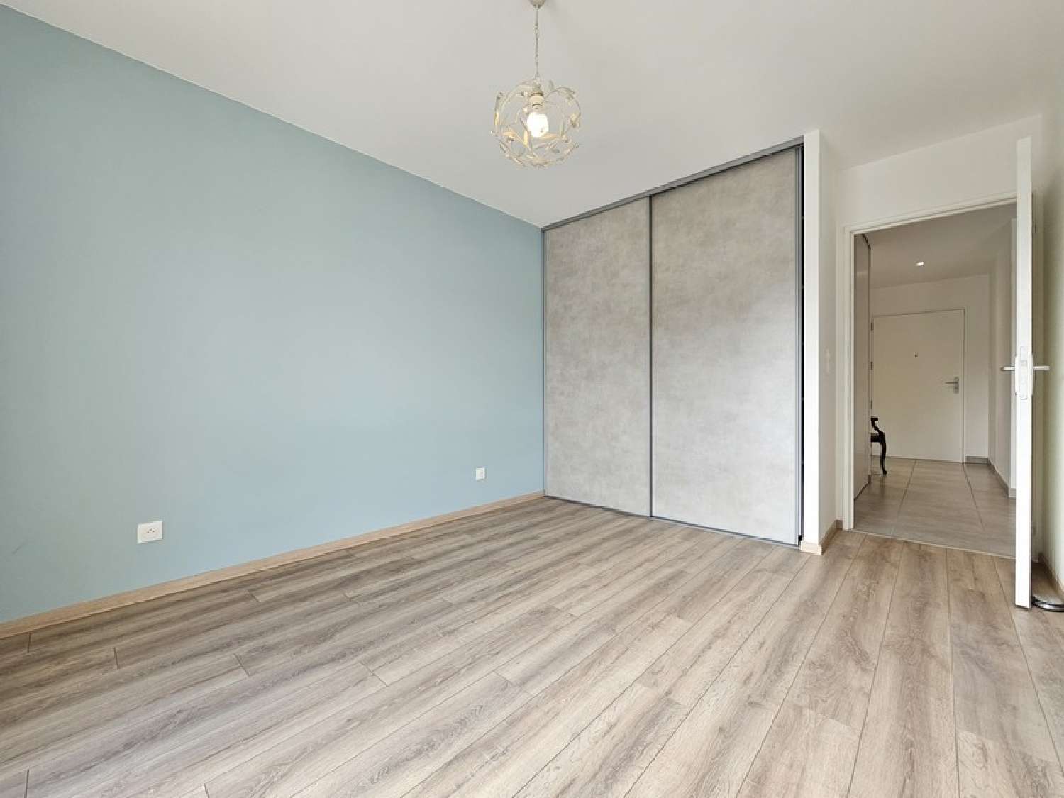  te koop appartement Panissières Loire 8