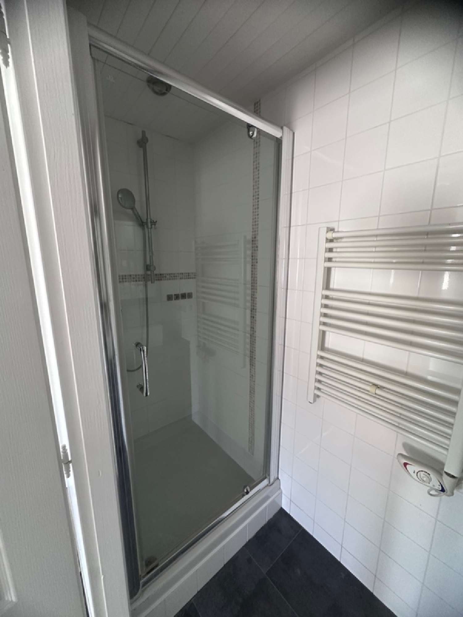  for sale apartment Péron Ain 6