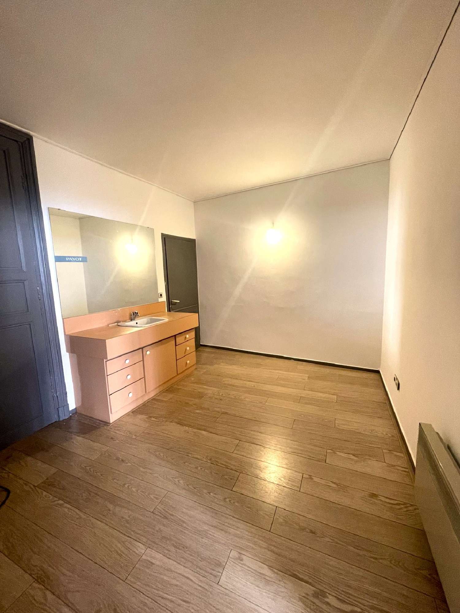  te koop appartement Perpignan Pyrénées-Orientales 8