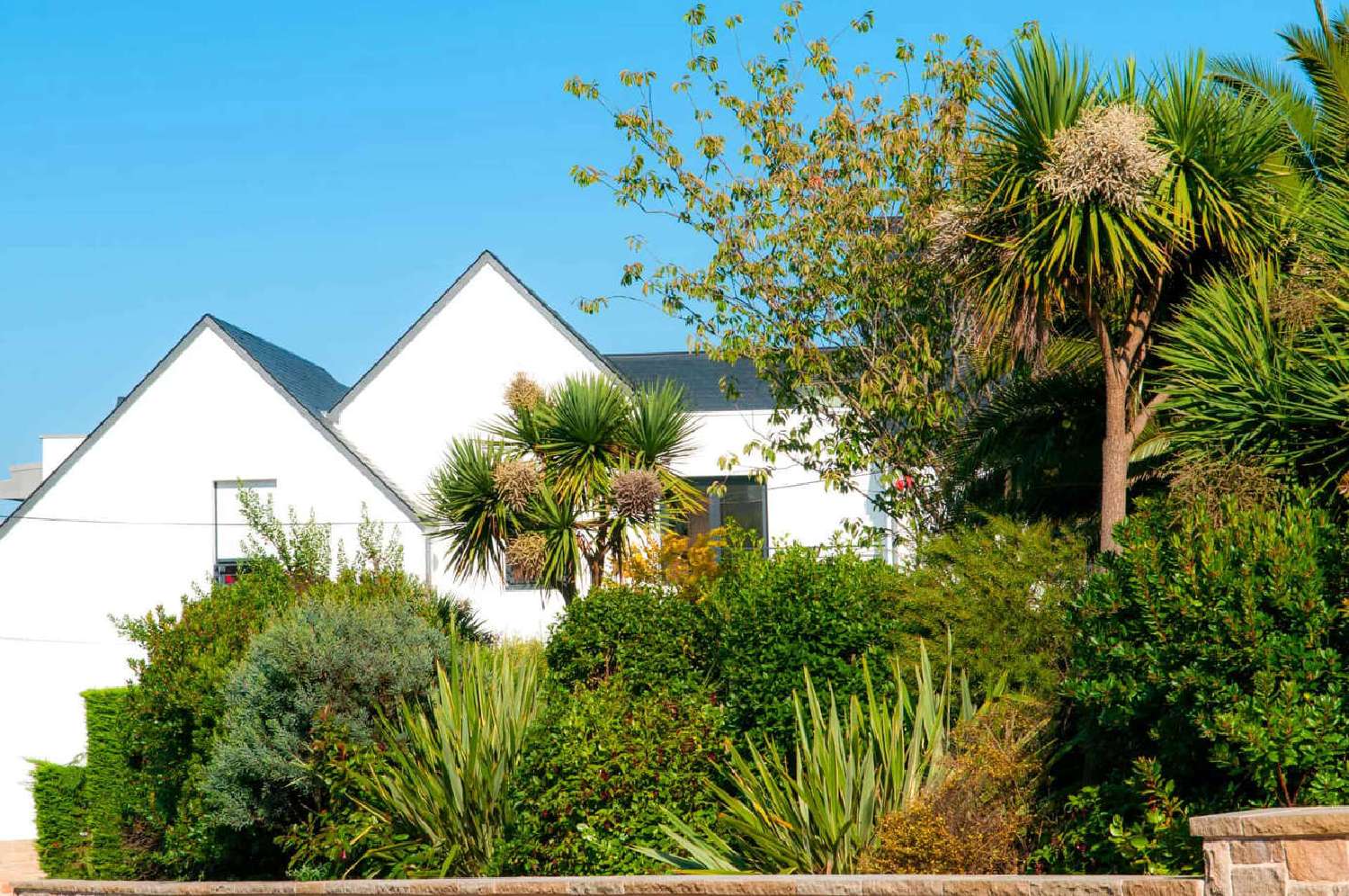 for sale apartment Perros-Guirec Côtes-d'Armor 3