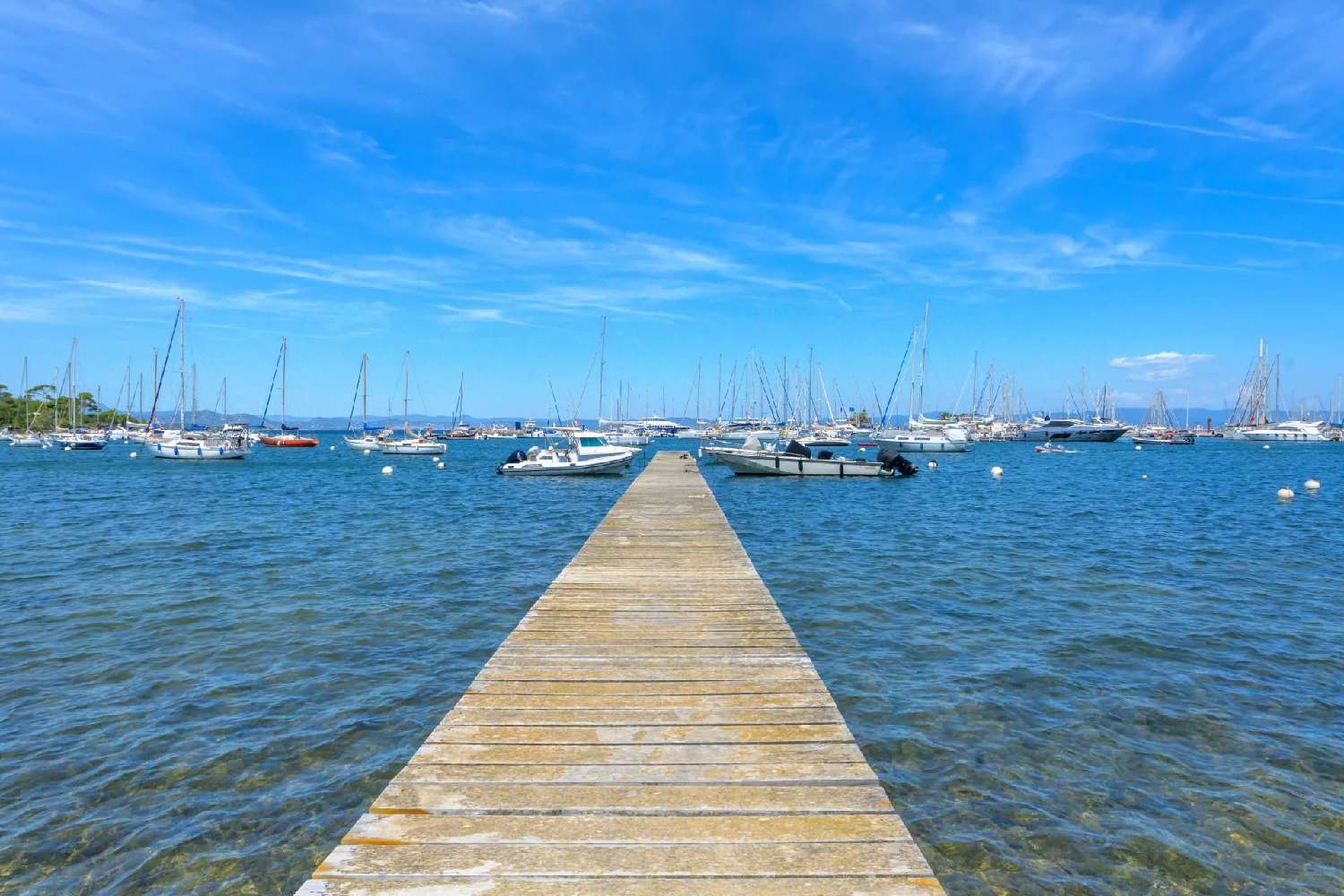  for sale apartment Porquerolles Var 5