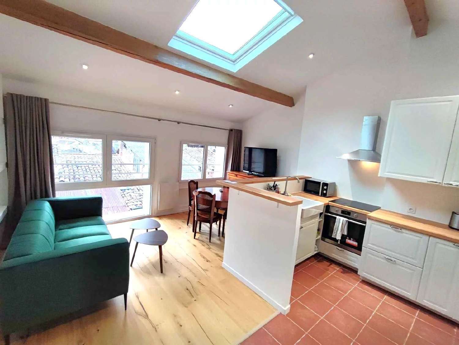  te koop appartement Puget-Théniers Alpes-Maritimes 1