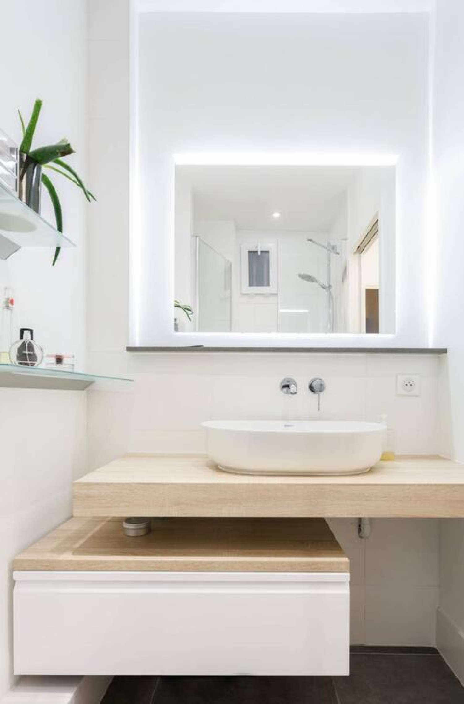  te koop appartement Saint-Didier-au-Mont-d'Or Rhône 3